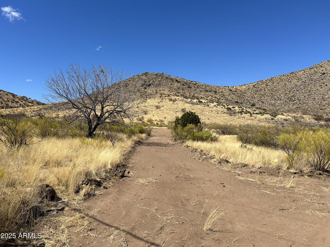 tbd Carr Canyon Rd #4, Hereford, AZ 85615