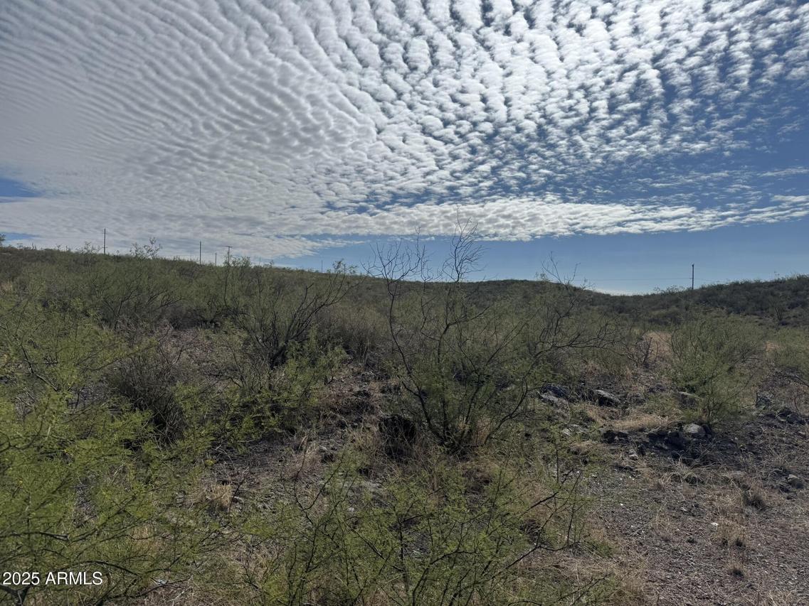 .41 Acre E Ridge Pl. #159, Tombstone, AZ 85638
