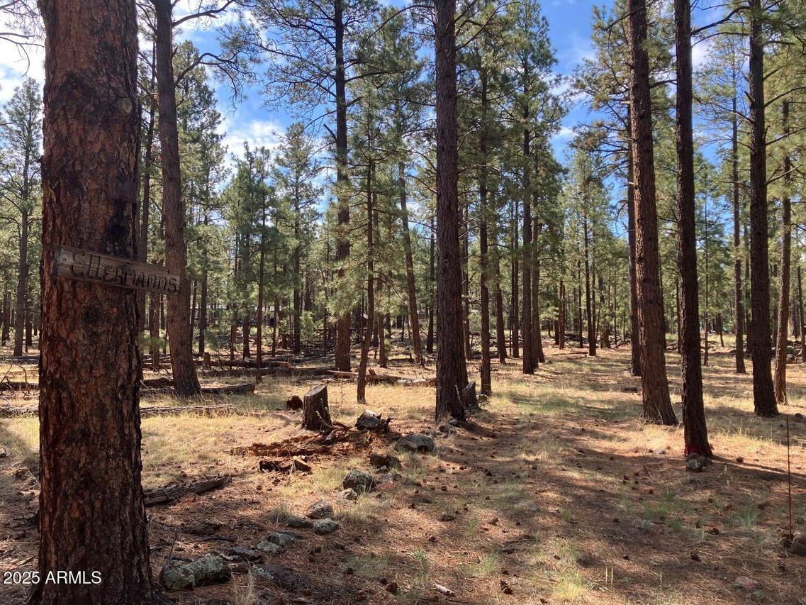 18 N County Road N1045 #103, Springerville, AZ 85938