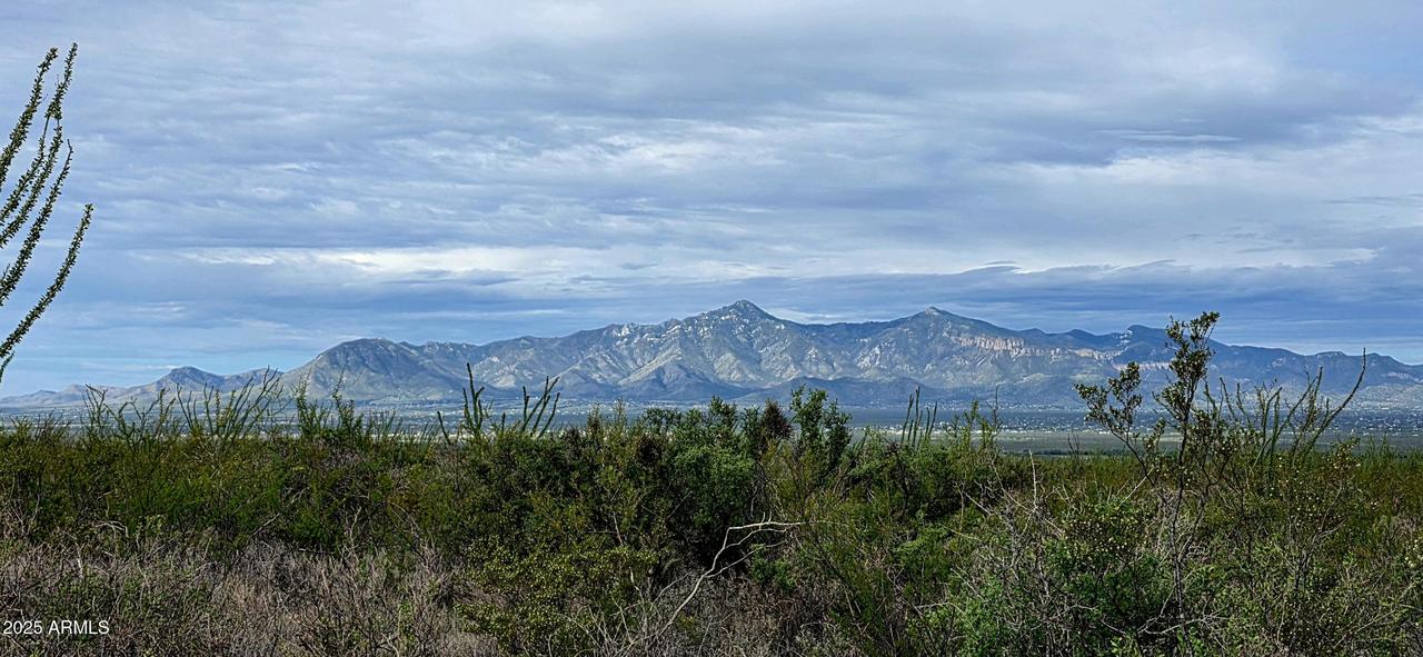 Lots 3 & 4 S Lonesome Dr. #3, Hereford, AZ 85615