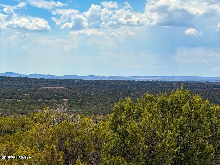Weber Rd Lot A 5 Acres #-, Show Low, AZ 85901