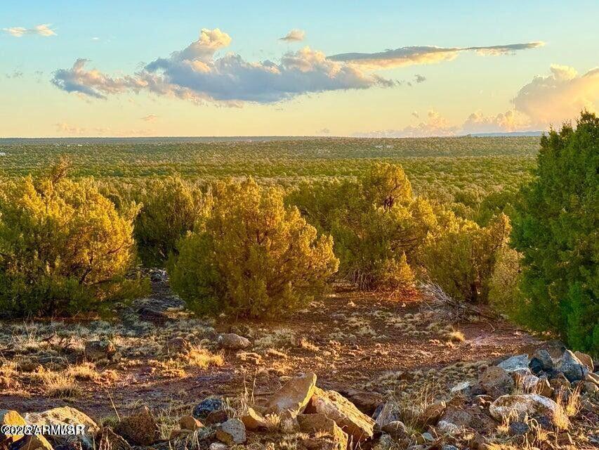 Weber Rd Lot A 5 Acres #-, Show Low, AZ 85901