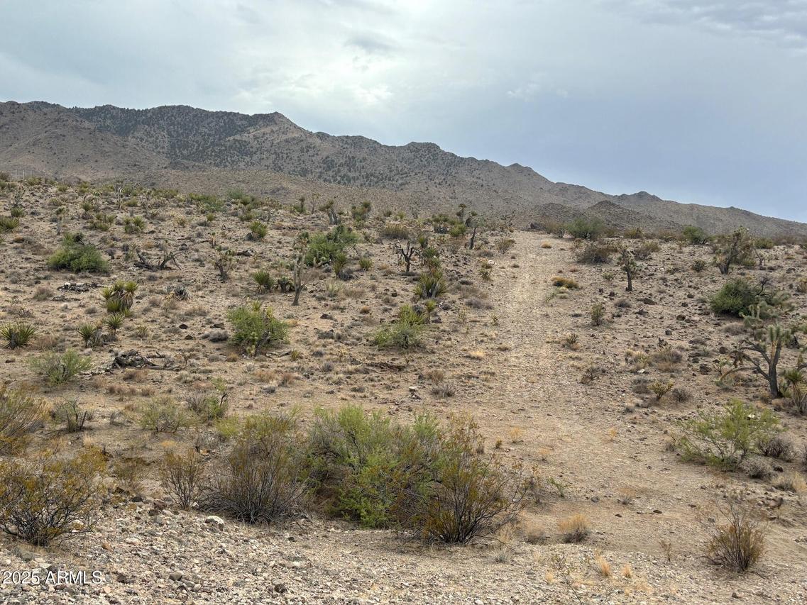 000 N Mohave Dr. #48, Dolan Springs, AZ 86441