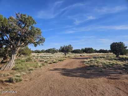 110 N County Road N5578, Concho, AZ 85924