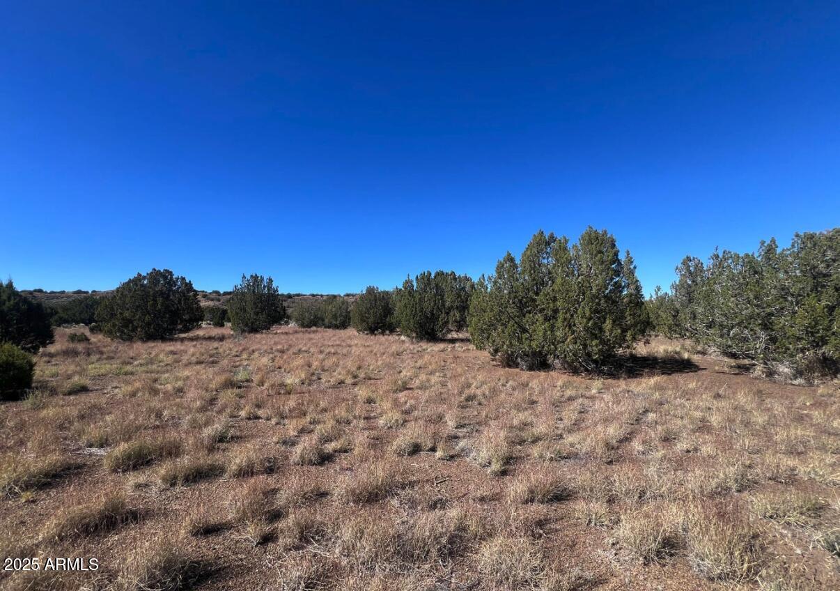6 Leupp Rd. #-, Flagstaff, AZ 86004
