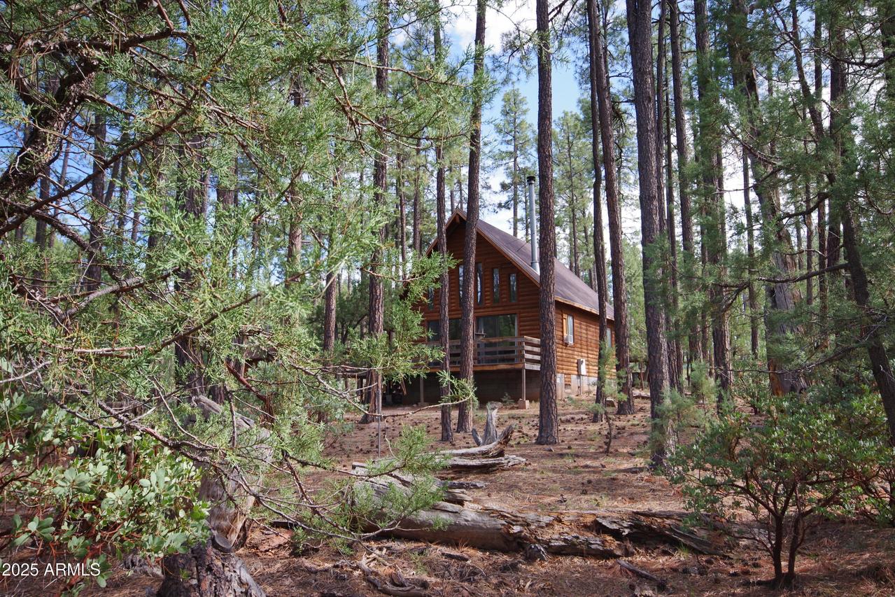 1007 W Old Pine Tr., Payson, AZ 85541