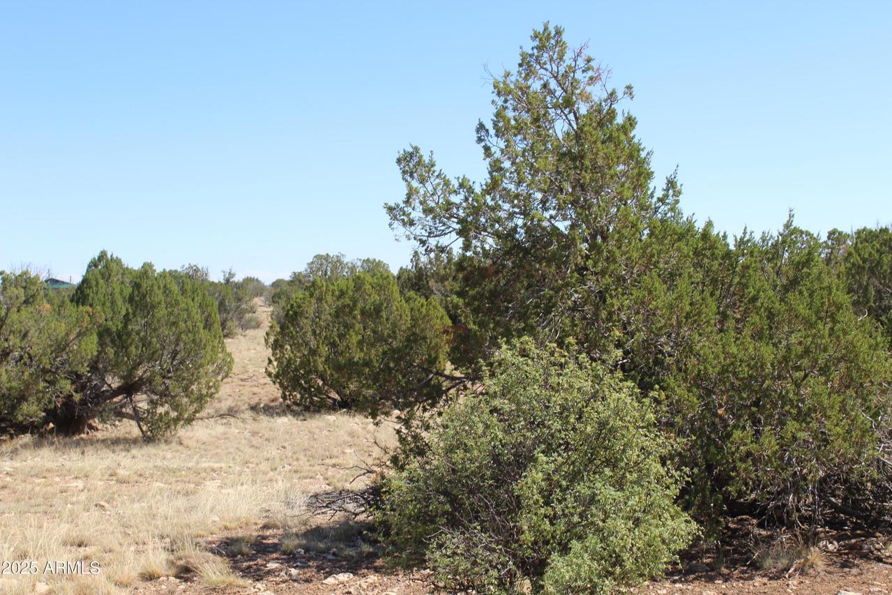 Sec 9 T14n,r16e: Sw4 Nw4 Sw4 #'-', Heber, AZ 85928