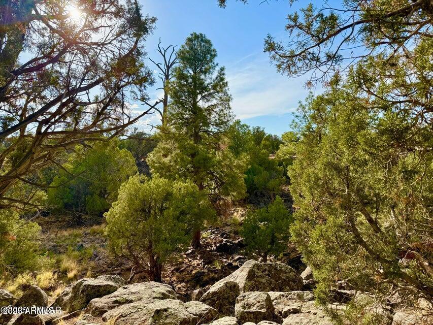 1842 Rocky Bottom Pl. #-, Show Low, AZ 85901