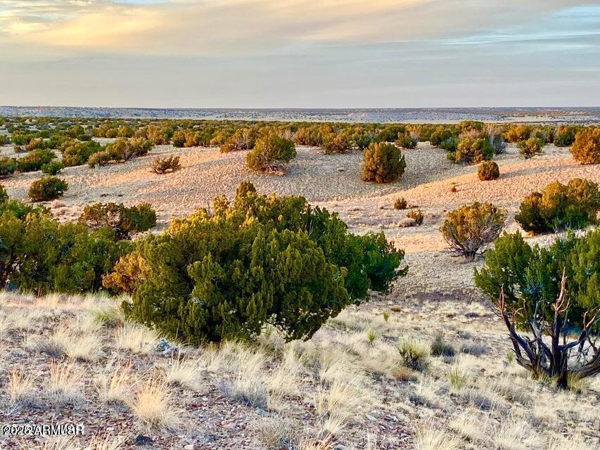 Woodland Valley Ranch Lot 902 36.25 Acr #-, St Johns, AZ 85936