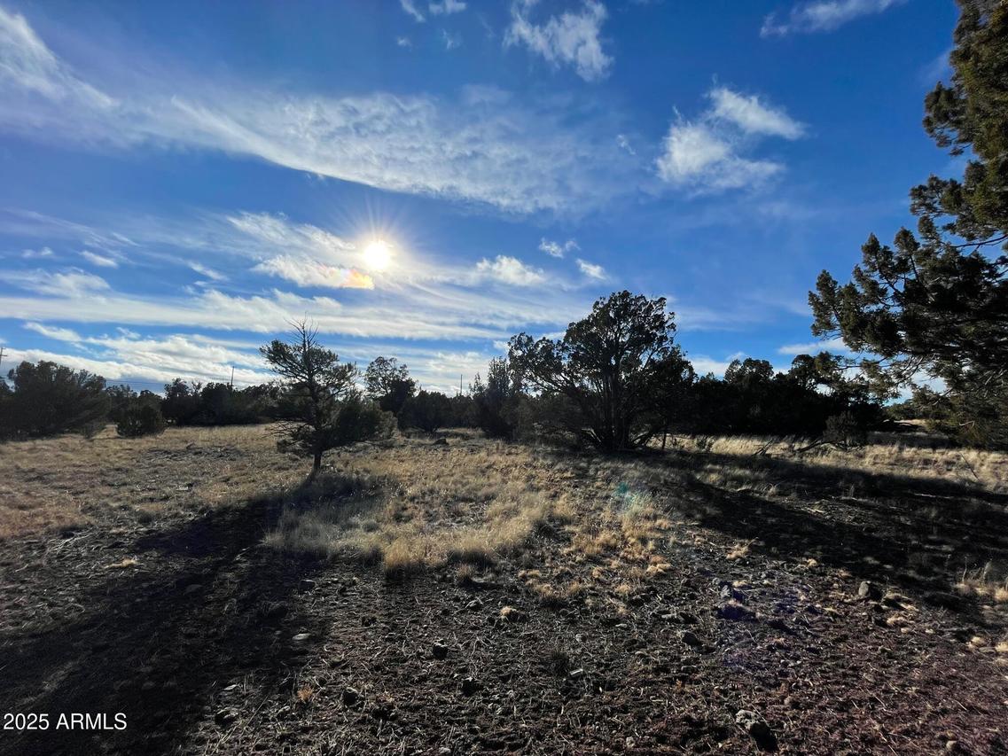 8459 Quail Run Dr. #426, Show Low, AZ 85901