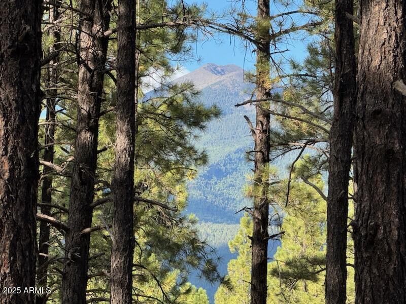 9285 Coyote Pass #-, Flagstaff, AZ 86001