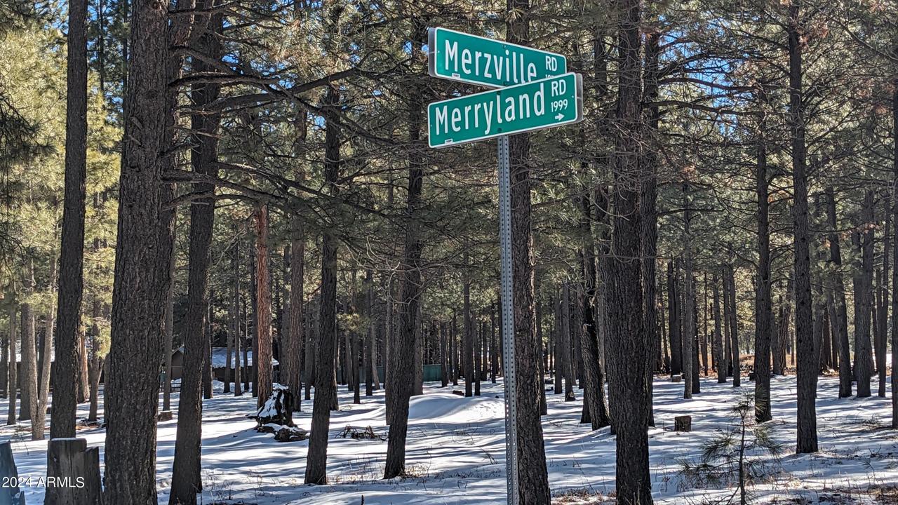 1960 Merryland Rd. #233, Forest Lakes, AZ 85931