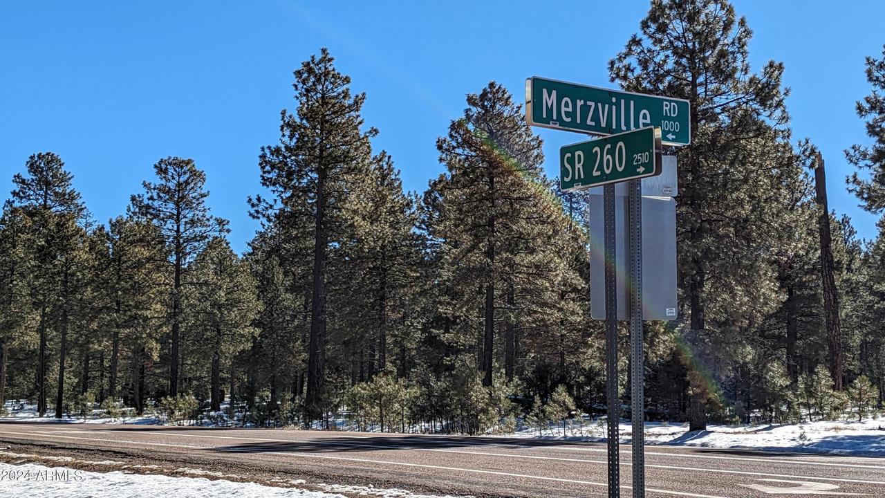 1019 Merzville Rd. #234, Forest Lakes, AZ 85931