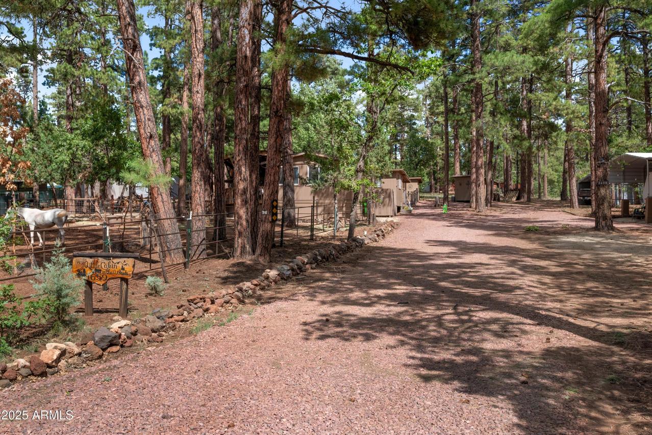 1659 Mormon Rd., Happy Jack, AZ 86024