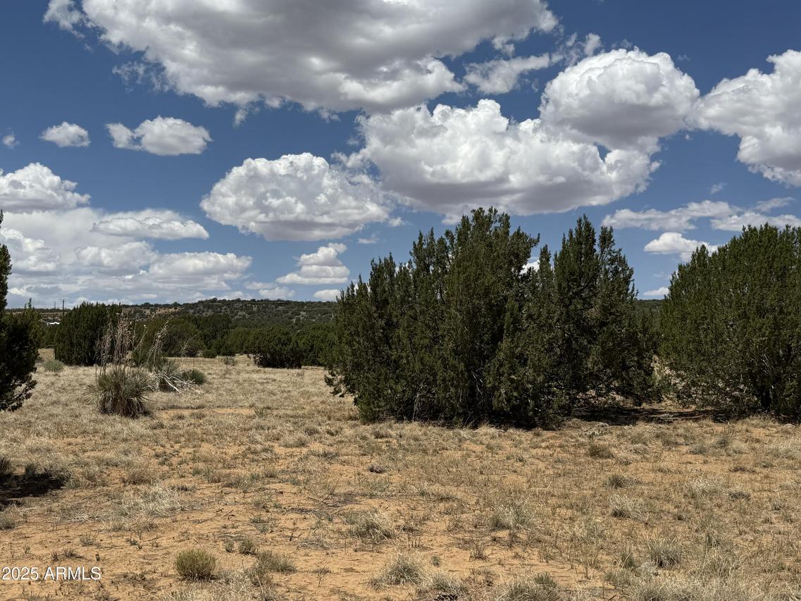 77 Co Rd 8020 Ln. #393, Concho, AZ 85924