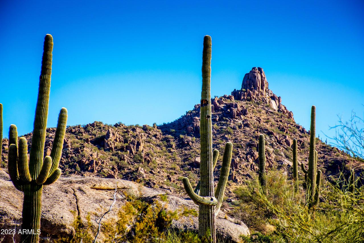 27777 N 95th St. #1, Scottsdale, AZ 85262