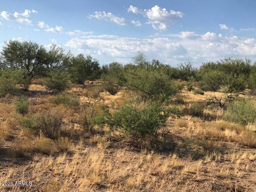 29620 S State Route 89 #-, Congress, AZ 85332