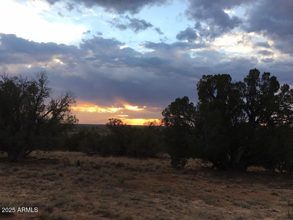 14 Eagle Rd., Snowflake, AZ 85937
