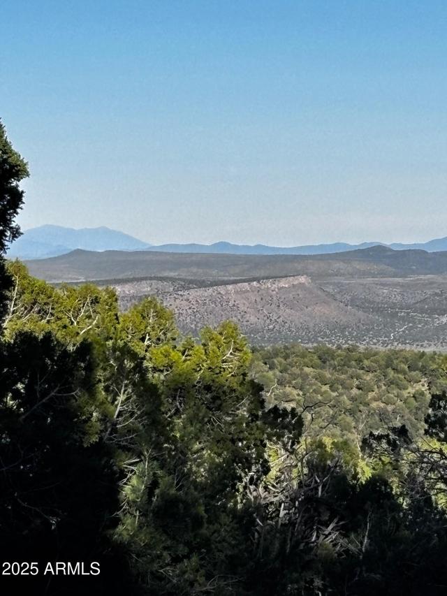soaring Soaring Hawk Rd. #498, Seligman, AZ 86337