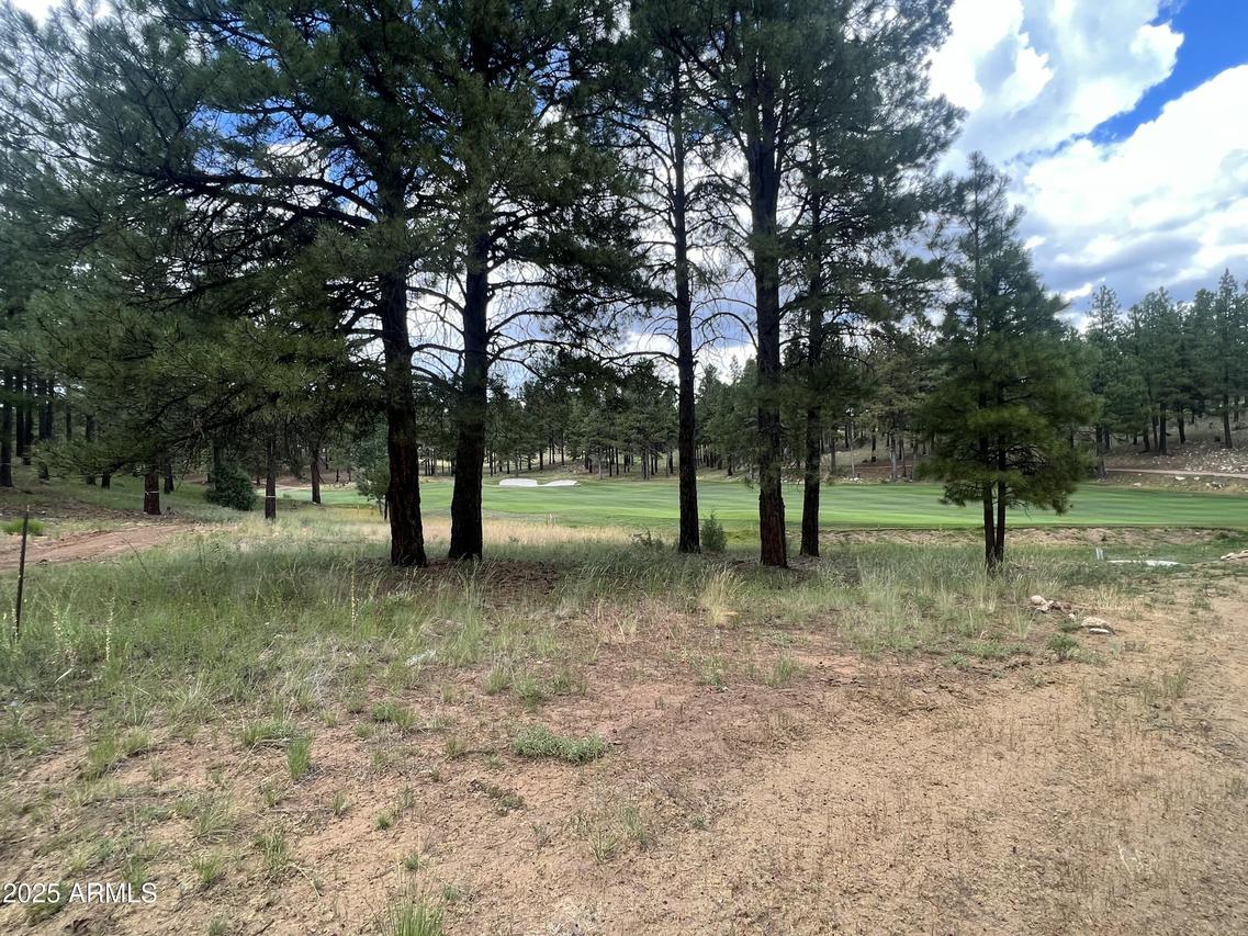 3646 S Woodland Hills Dr. #377, Flagstaff, AZ 86005