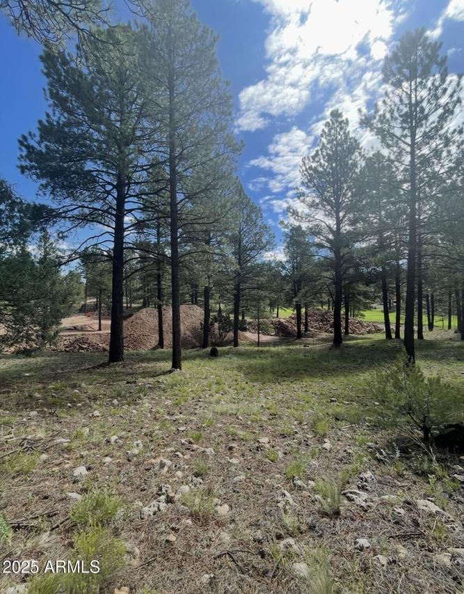 3666 S Woodland Hills Dr. #379, Flagstaff, AZ 86005