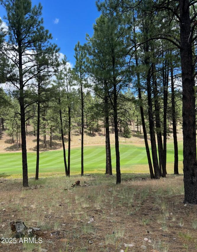 3607 S Woodland Hills Dr. #372, Flagstaff, AZ 86005