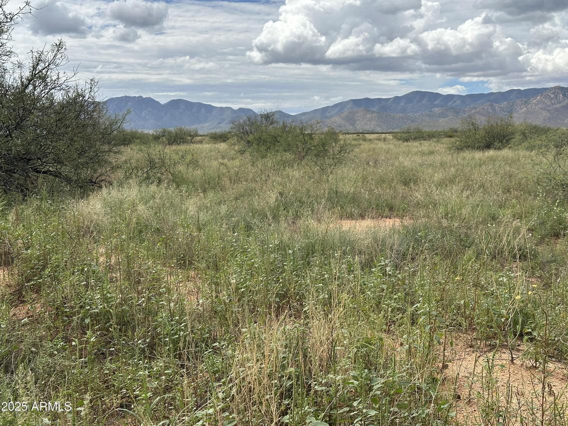 TBD N Central (5 Acres) Rd. #-, Pearce, AZ 85625