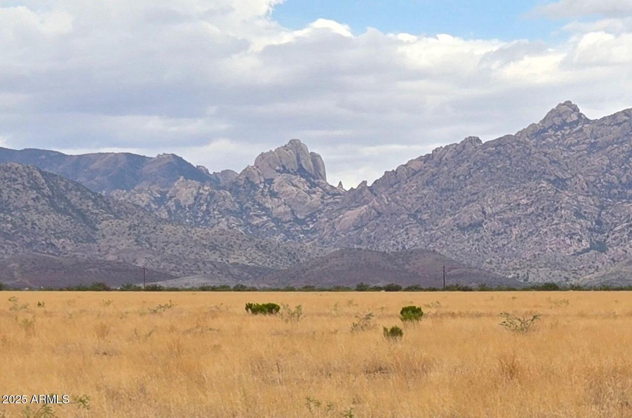 TBD N Central (5 Acres) Rd. #-, Pearce, AZ 85625