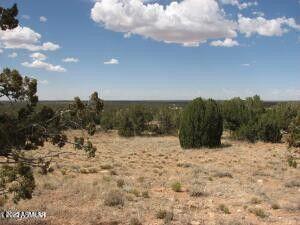 Lot 361 Chevelon Canyon Ranch #361, Heber, AZ 85928