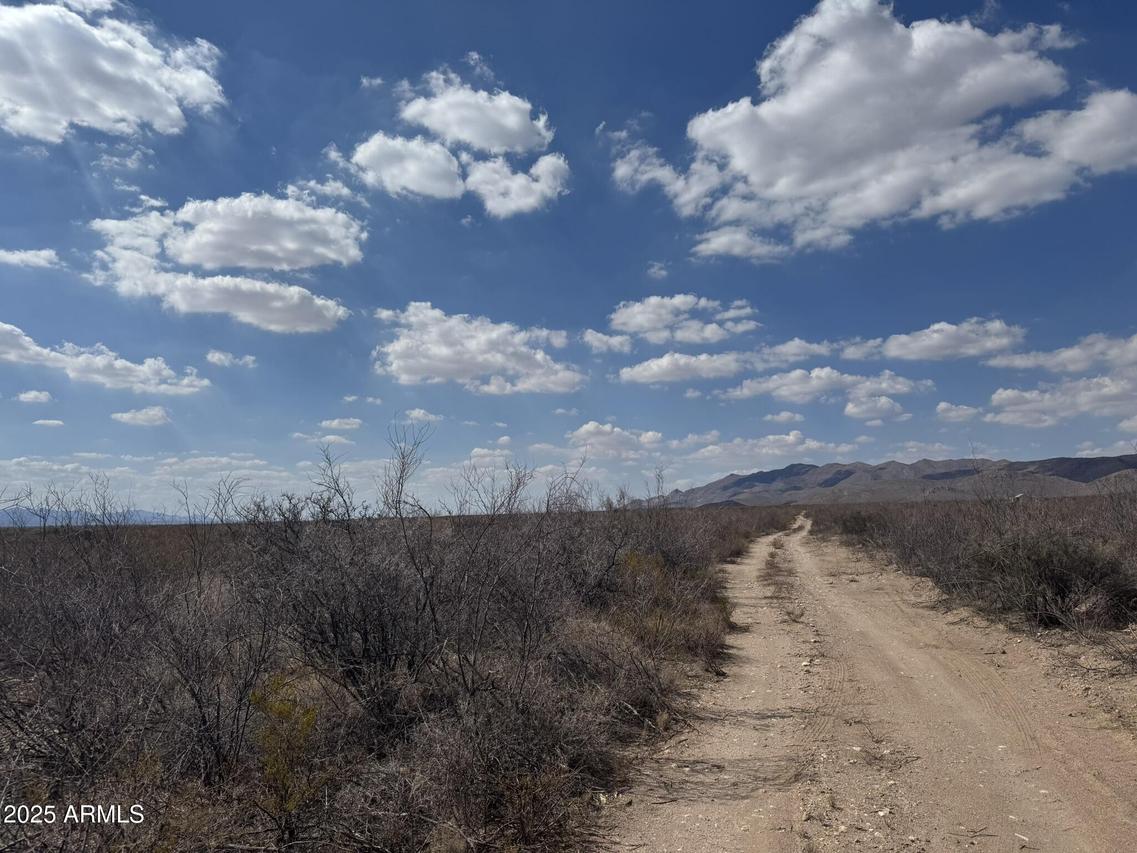 4.7 Acres La Cienega Rd. #130, Douglas, AZ 85067