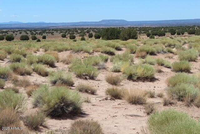 N9343 N9343 #20465210, St Johns, AZ 85936