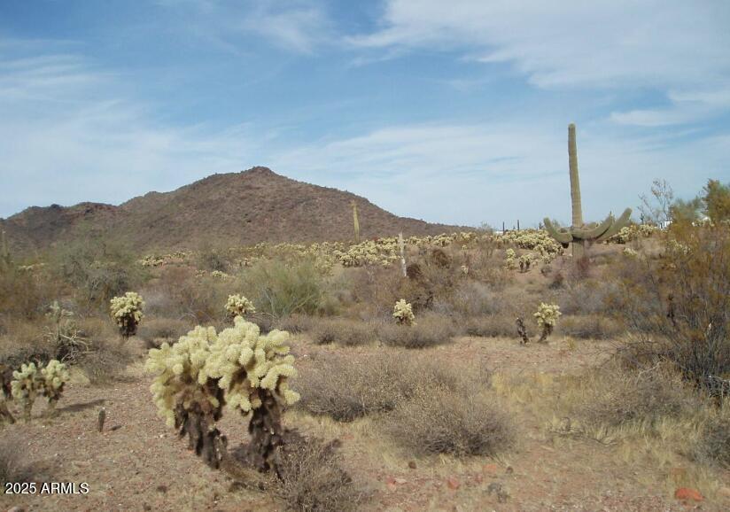 29980 W Restin Rd. #146, Unincorporated County, AZ 85361