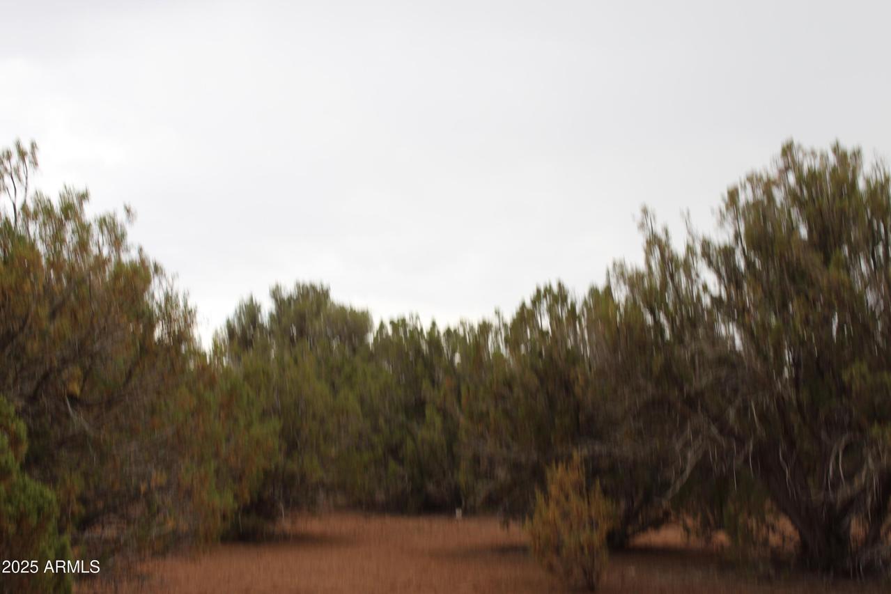 Sec 8 T11n, R22e: Port Of Parcel 3 #'_', White Mountain Lake, AZ 85912