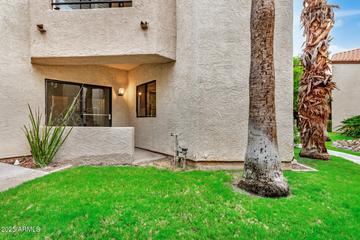 10301 N 70th St. #103, Paradise Valley, AZ 85253