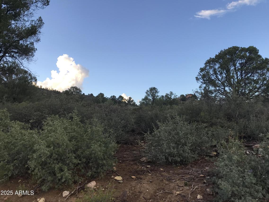 00000 W Buckhorn - V Dr. #-, Peeples Valley, AZ 86332