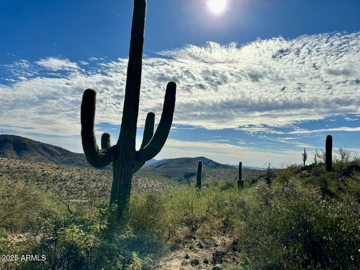 00000 S Burro Pass Rd. #76, Morristown, AZ 85342