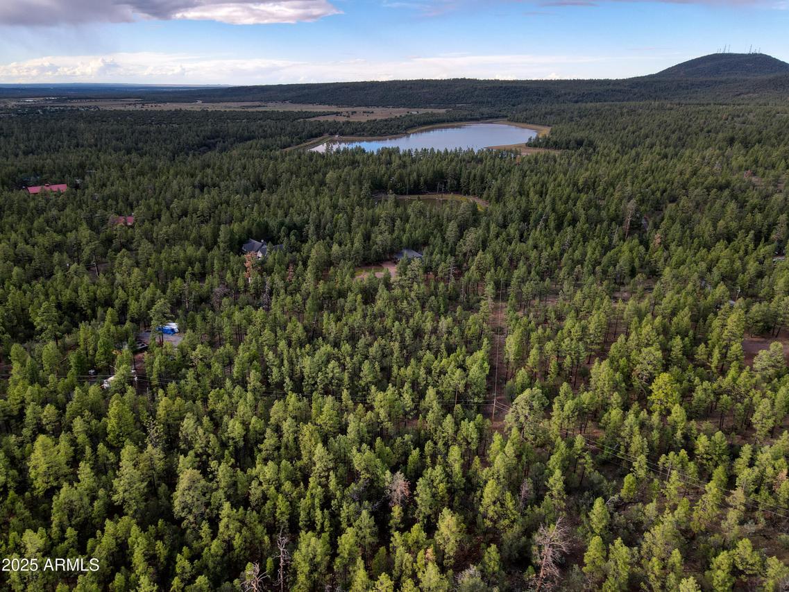 --- N --- Dr. #-, Lakeside, AZ 85929