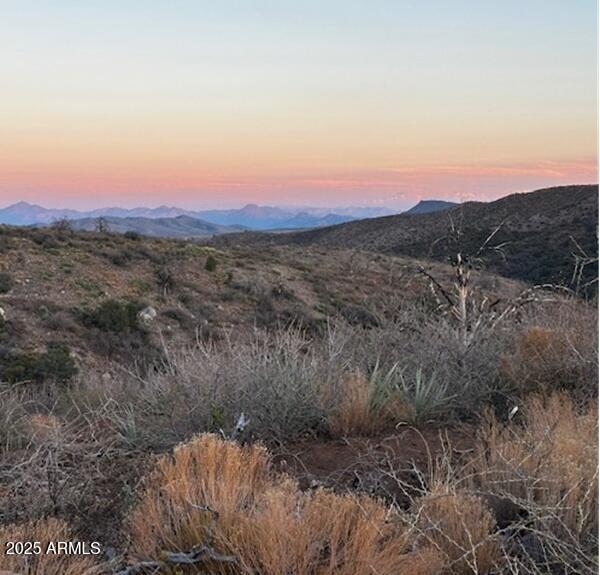10XX E Horseshoe Springs Rd. #2, Globe, AZ 85501