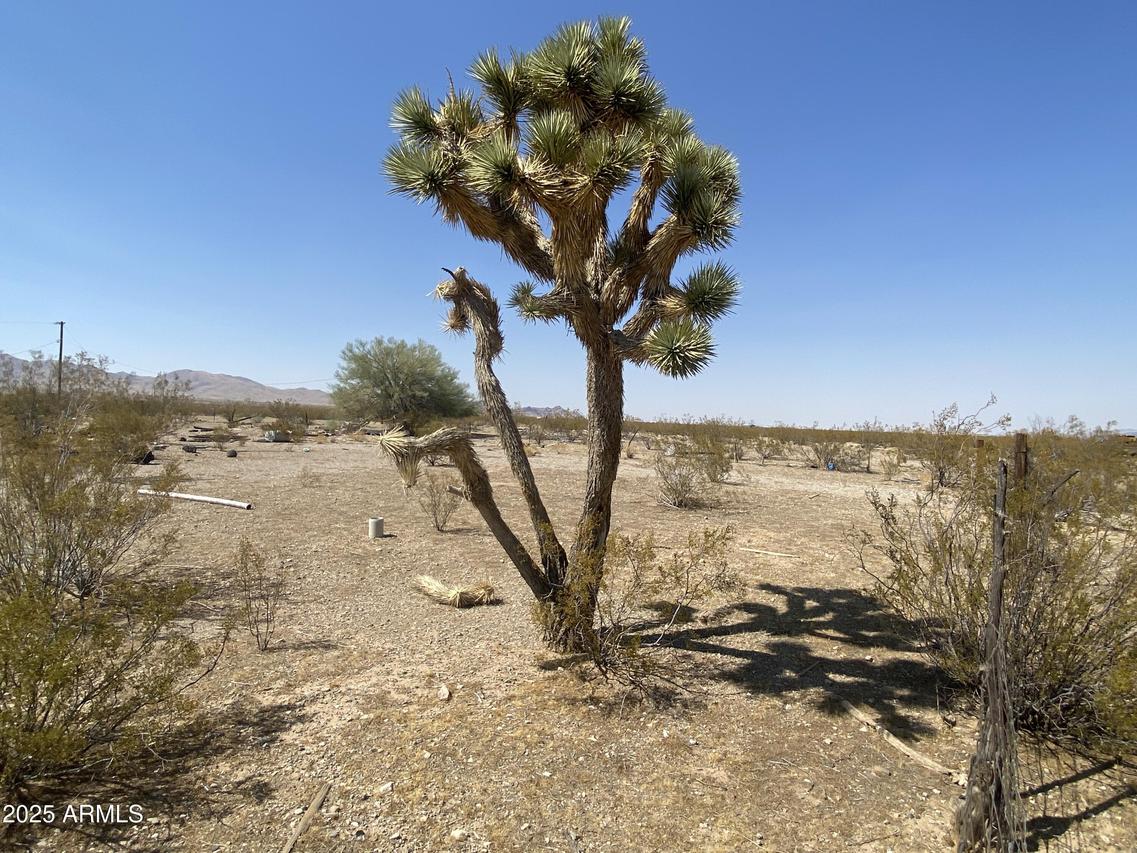 XXXXX N Phillip (lot 354) Rd. #354, Dolan Springs, AZ 86441