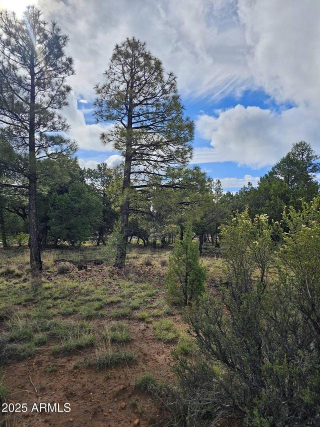 1454 Low Mountain Tr. #118, Heber, AZ 85928