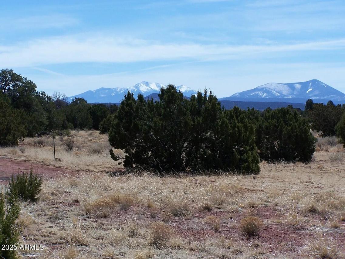 4137 E Crockett Dr. #252, Williams, AZ 86046