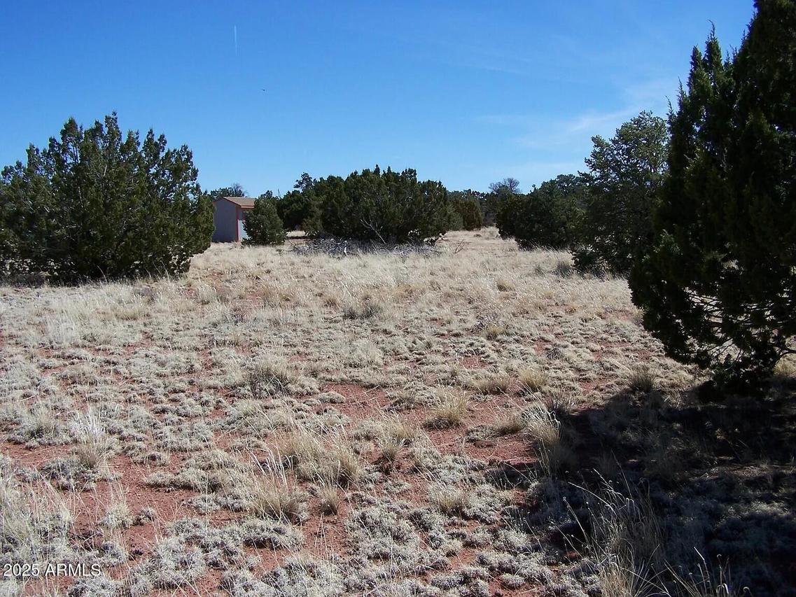 4167 E Crockett Dr. #251, Williams, AZ 86046