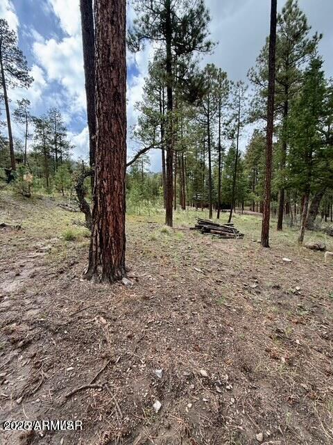 7 Eric Ln. #28, Alpine, AZ 85920