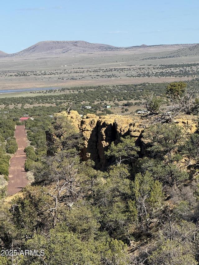 4 8030 #156, Concho, AZ 85924