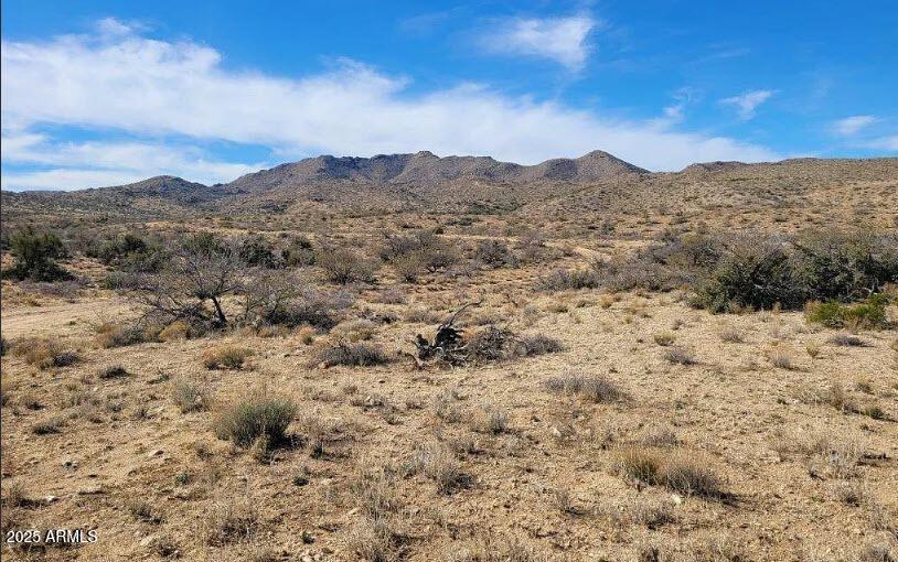 xxx W Trezler Rd. #-, Congress, AZ 85332