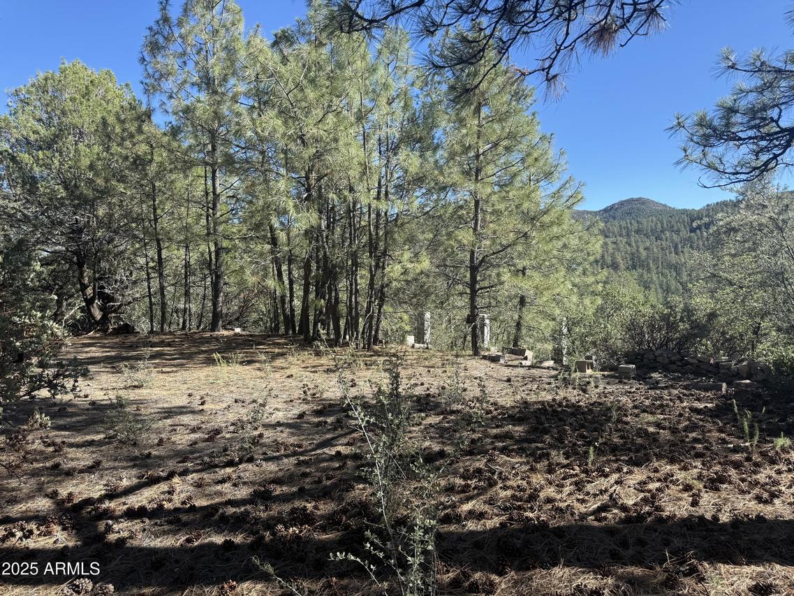 6536 E 90 And 9 Rd. #-, Crown King, AZ 86343