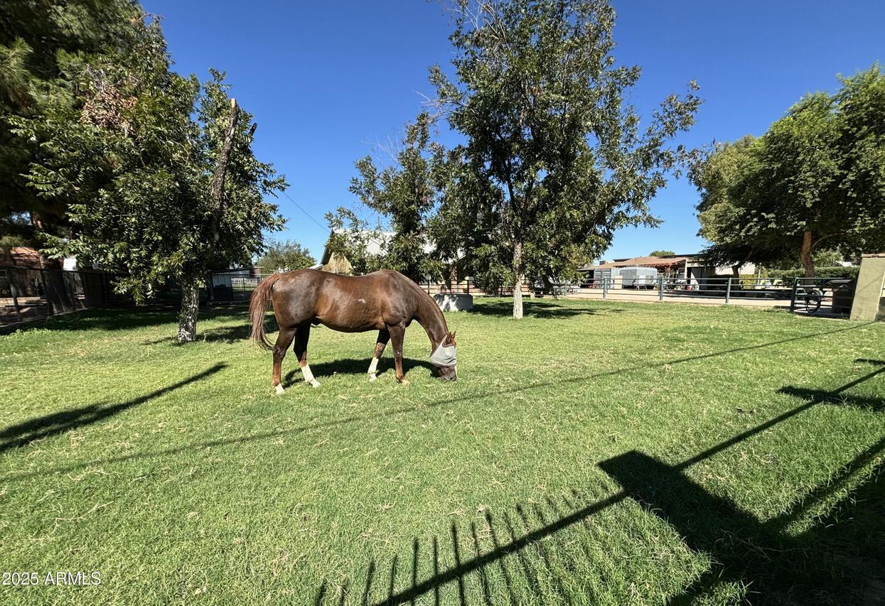 18950 E Via De Palmas, Queen Creek, AZ 85142