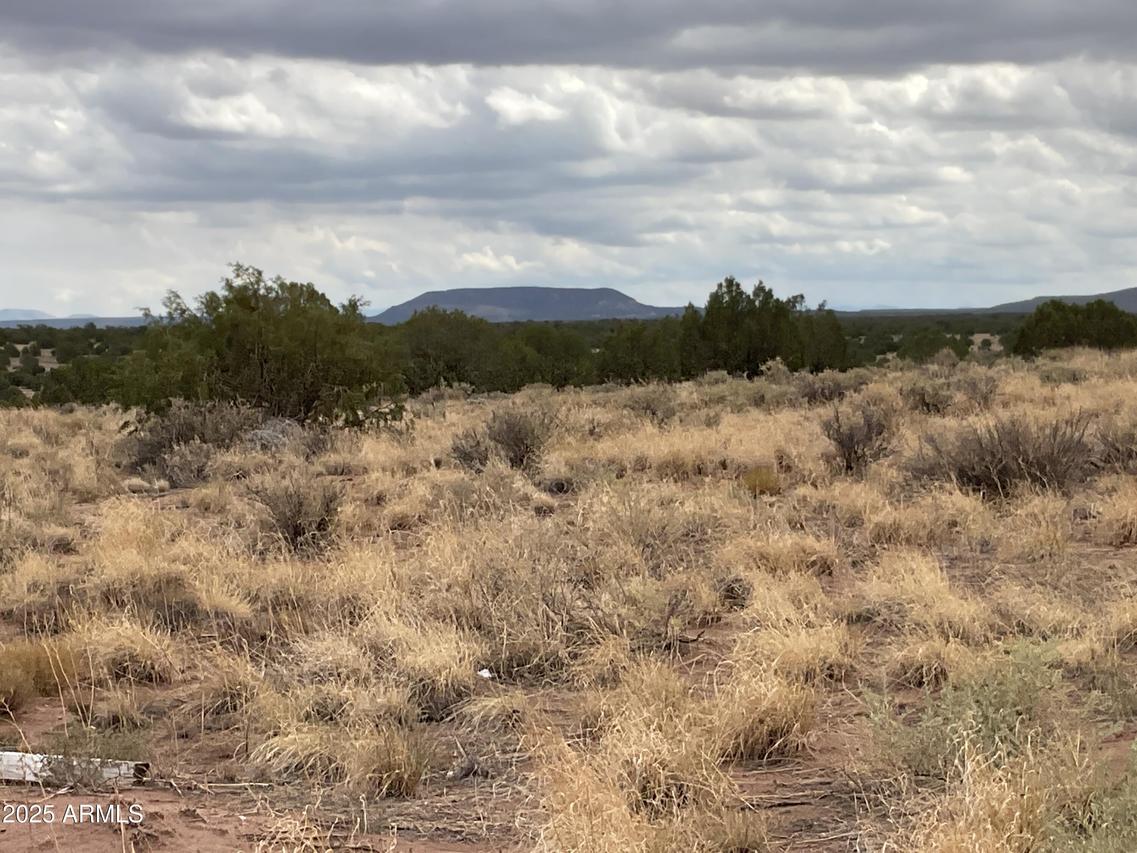 Lot 4 Ranch Of The White Mountains #4, Concho, AZ 85924