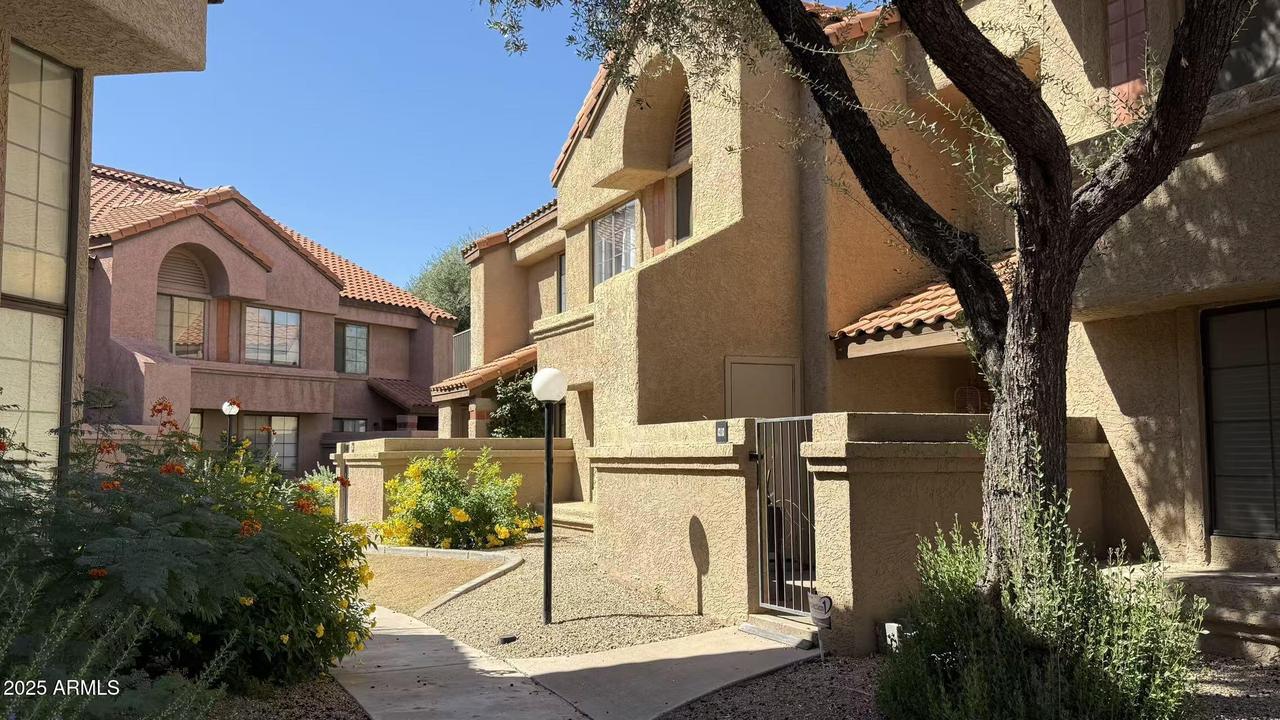 925 N College Ave. #C110, Tempe, AZ 85288