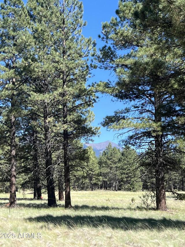 Forest Road 193 St., Flagstaff, AZ 86001